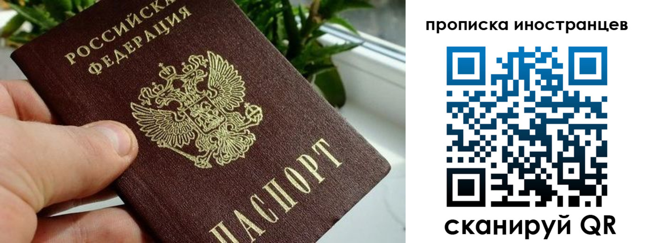 временная регистрация в Пушкино